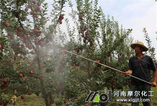 調(diào)節(jié)劑和葉面肥使用注意