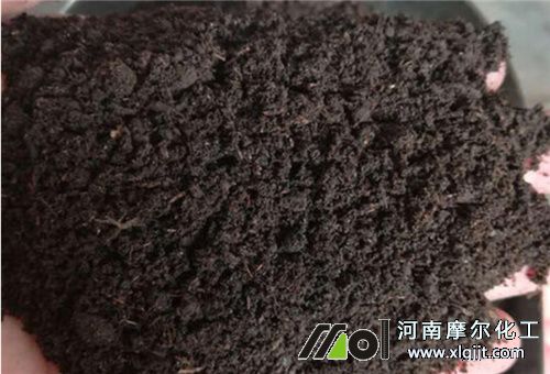 芹菜種植施底肥