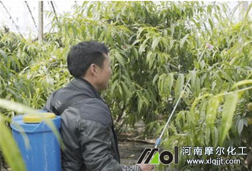 葉面追肥前提