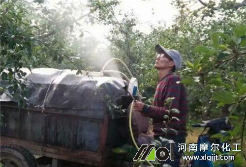 葉面肥使用注意