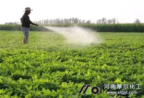 葉面肥是否能抗旱