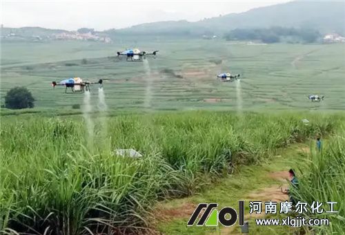 無人飛防葉面噴施
