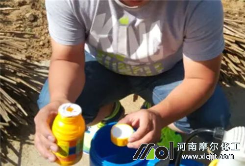 葉面肥稀釋
